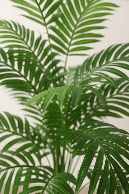 Palmier Artificiel Tropical