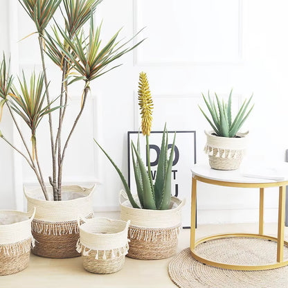 Pastoral Style Straw Flower Pot Hand-Woven Flower Basket Nordic Living Room Interior Decoration Simulation Tiger Skin Orchid Gre